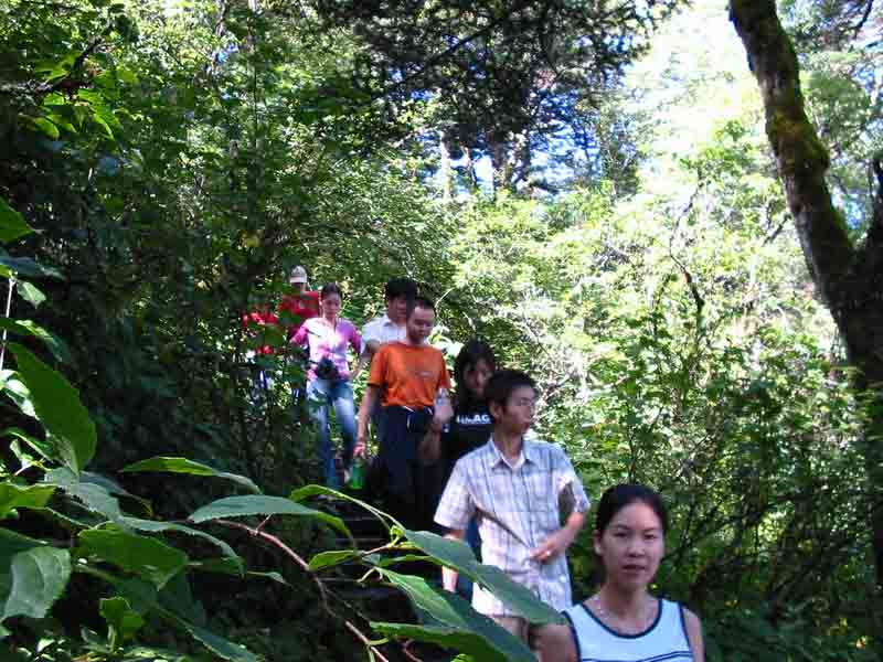 神農(nóng)架之旅