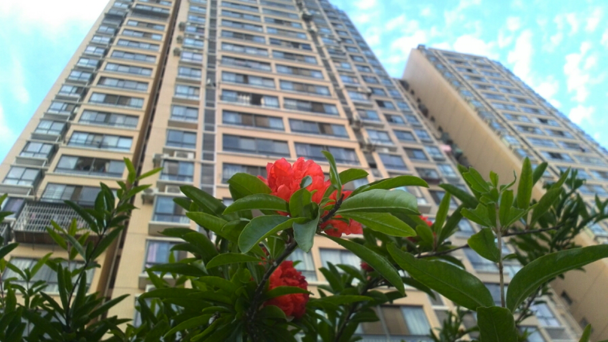 小區(qū)一角