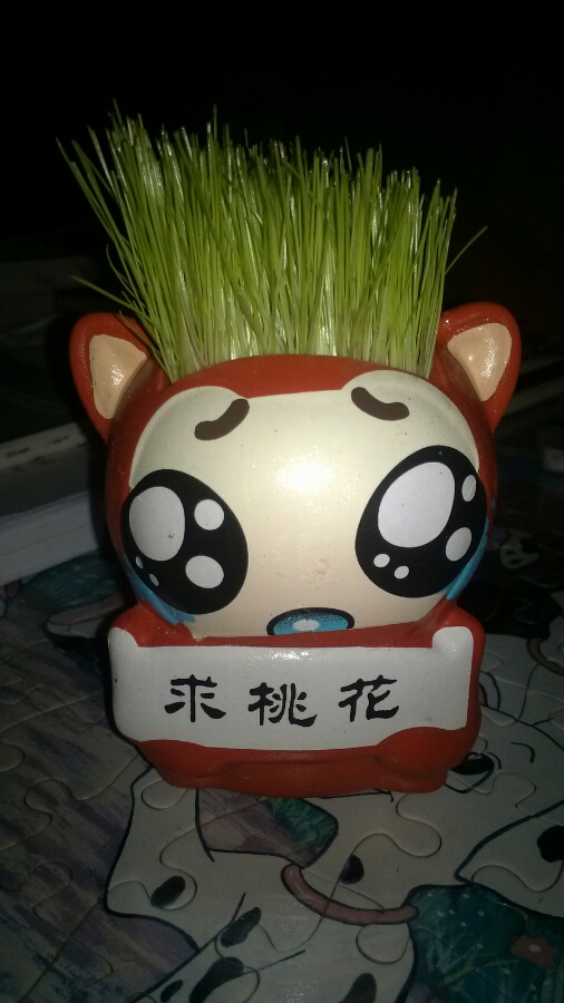 緣分