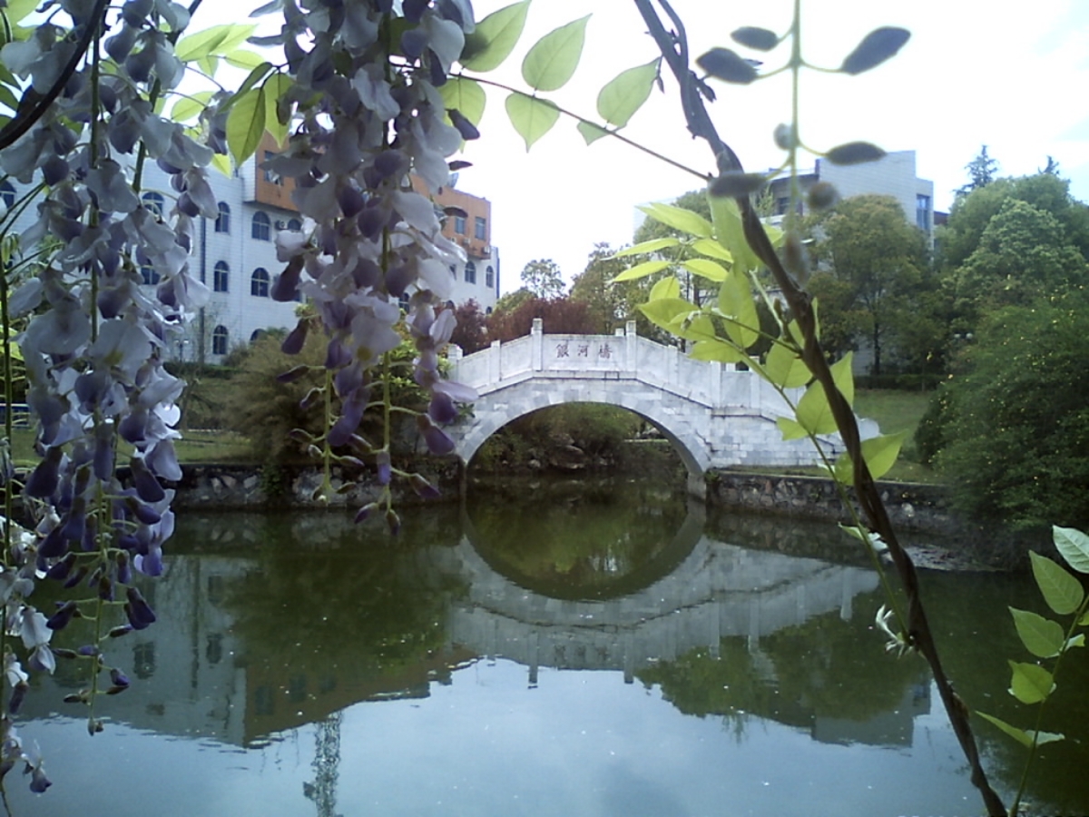 美麗風(fēng)景