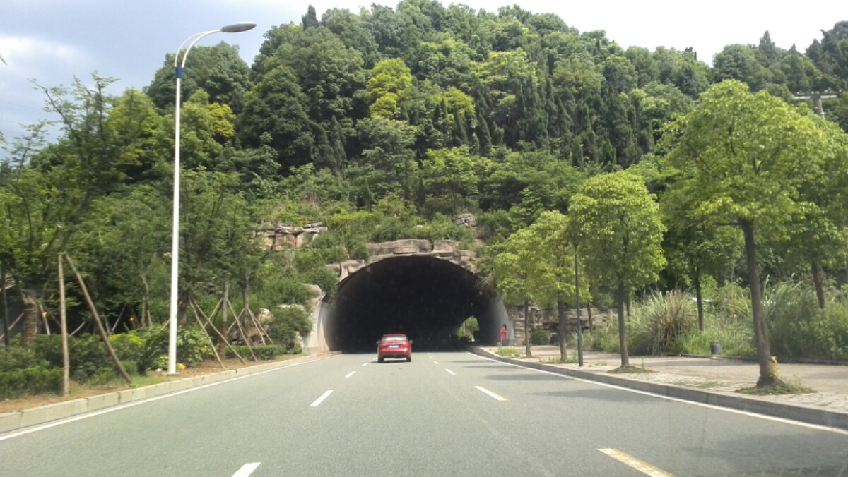 發(fā)展大道樹(shù)簾隧道