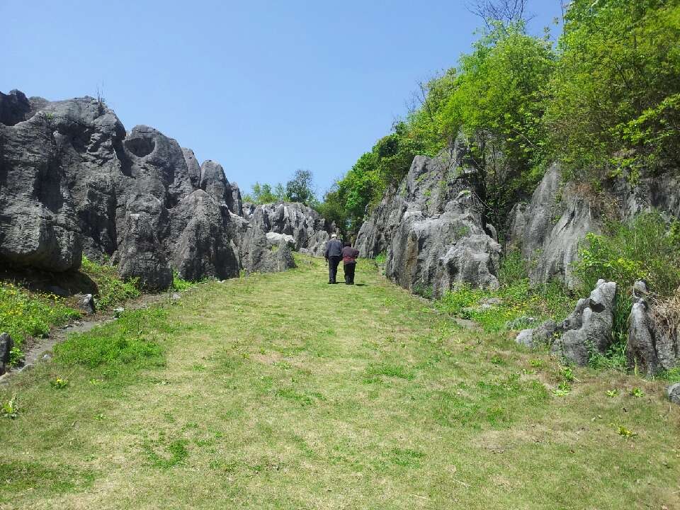 人生的風(fēng)景