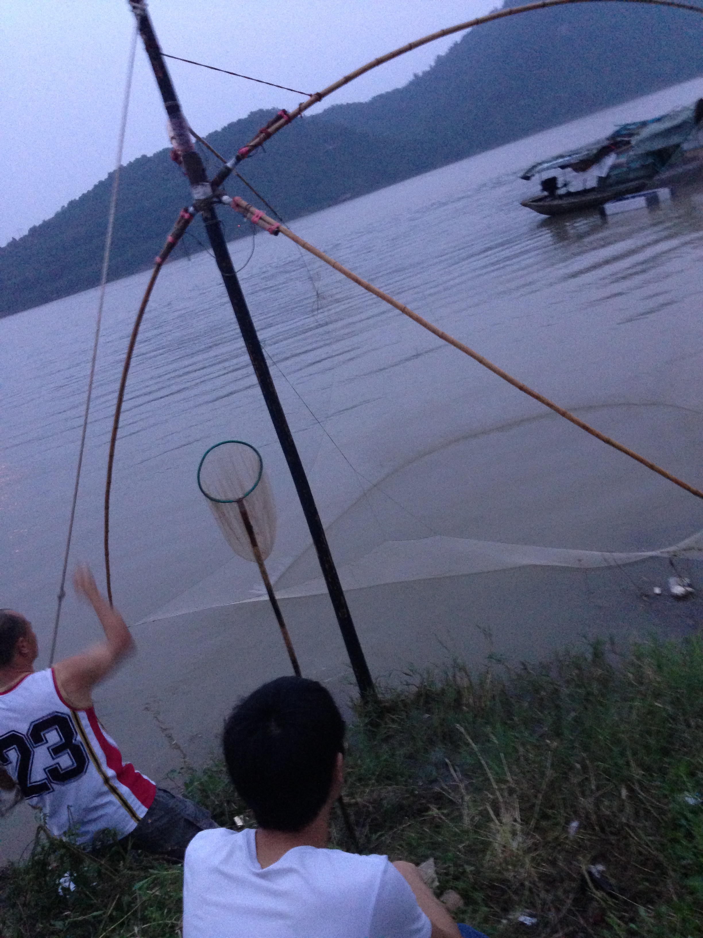 網(wǎng)魚(yú)
