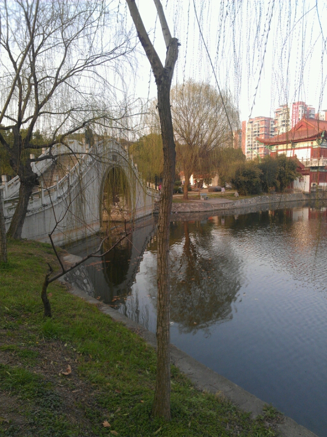 公園一角