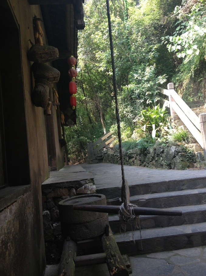 竹林深處