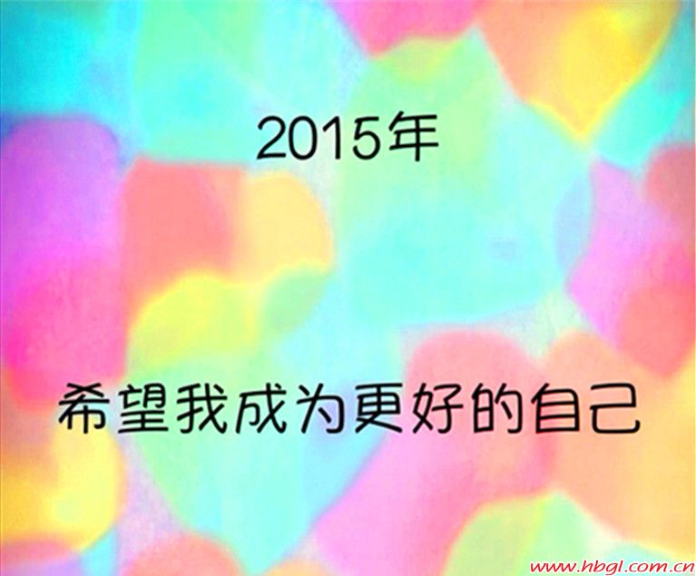 工作回顧及新年展望