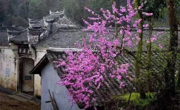 南邊游記