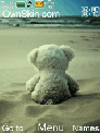 teddy bear in the beach